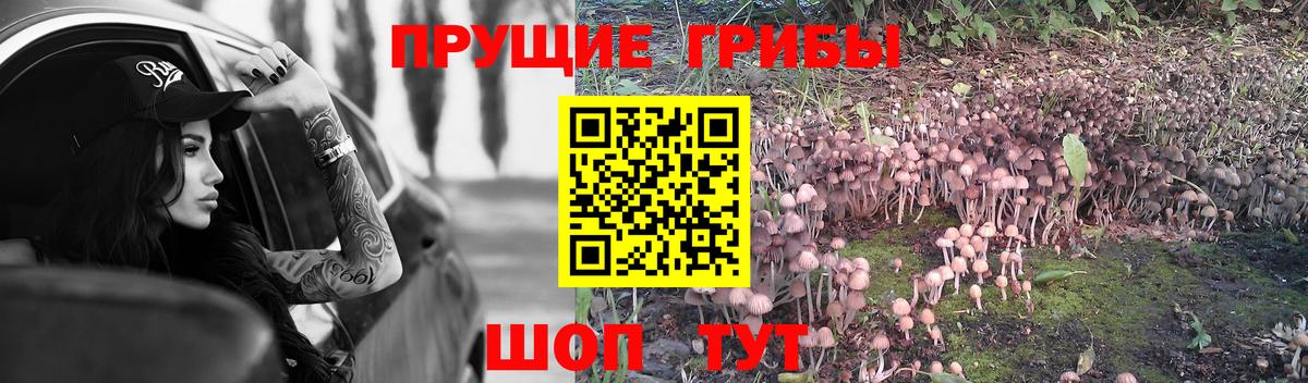 Галлюциногенные грибы MAGIC MUSHROOMS Баксан